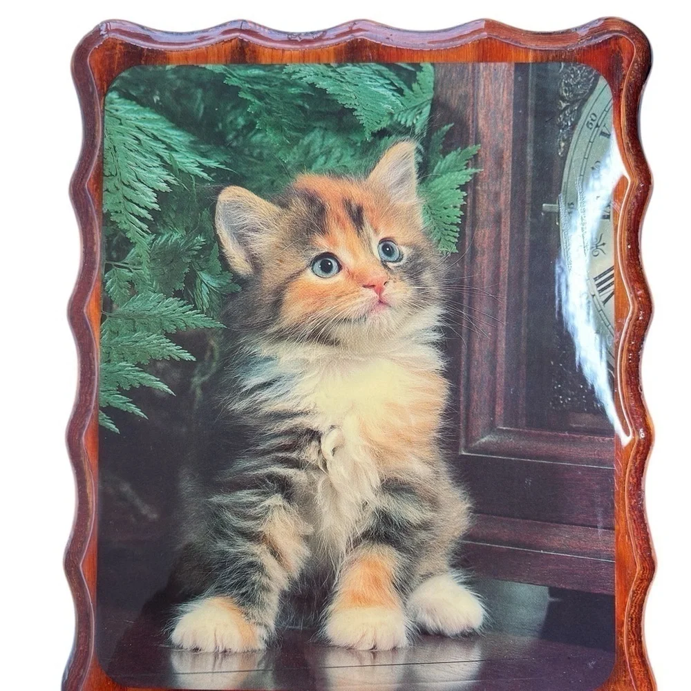 VTG Kitten Picture Lacquered Mounted Decor Calico Cat 9